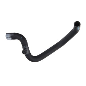 جنت بخاری ماکسیما