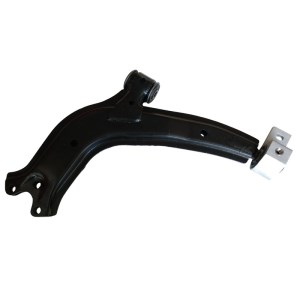 طبق اصلی ماکسیما راست FUJI