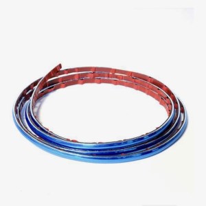 زه لب پلاک عقب ماکسیما